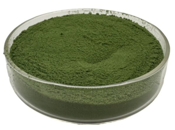 Seaweed Extract-Green NPK Type